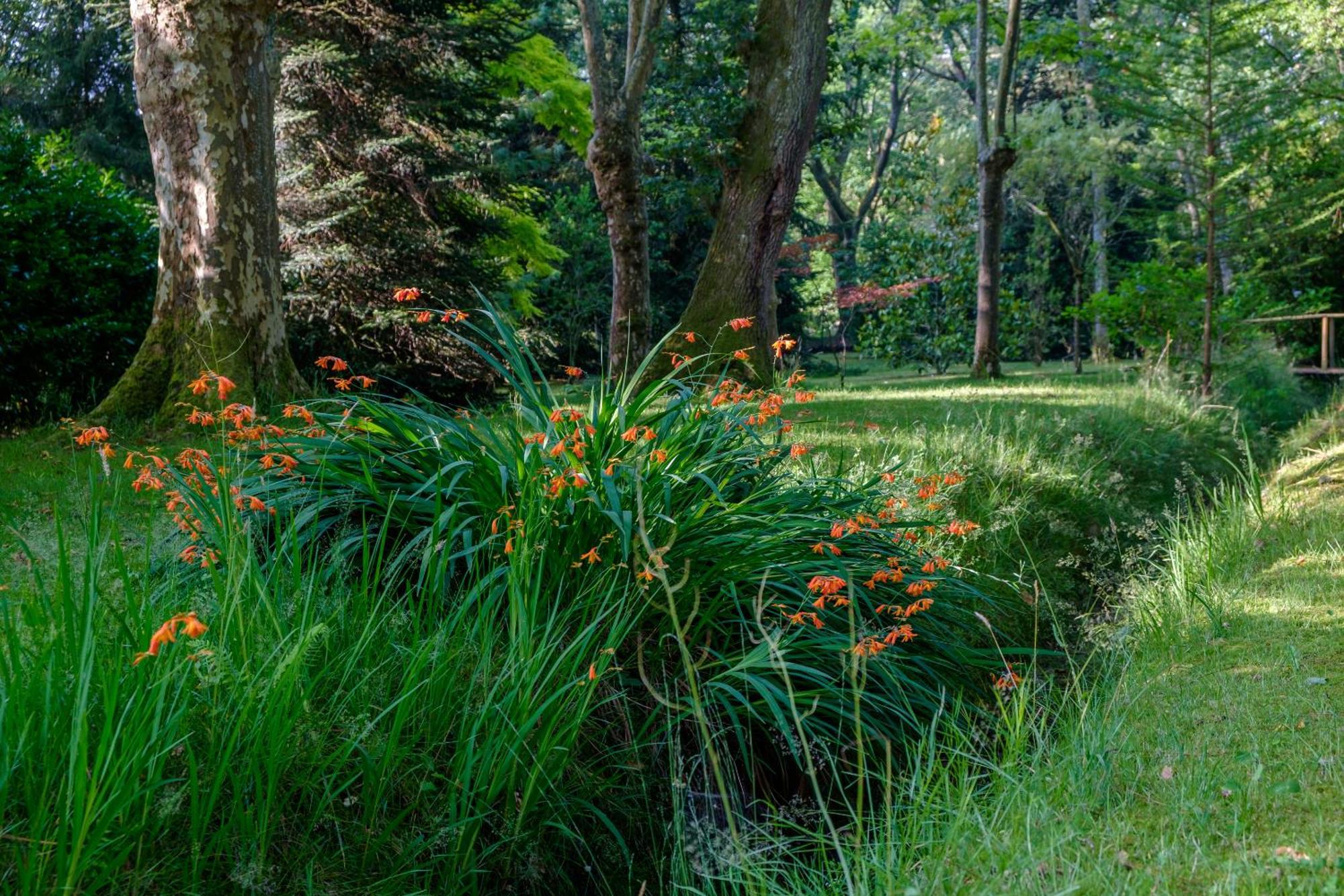 Bed and Breakfast Parc De L'Aiguade Saint-Paul-lès-Dax Esterno foto