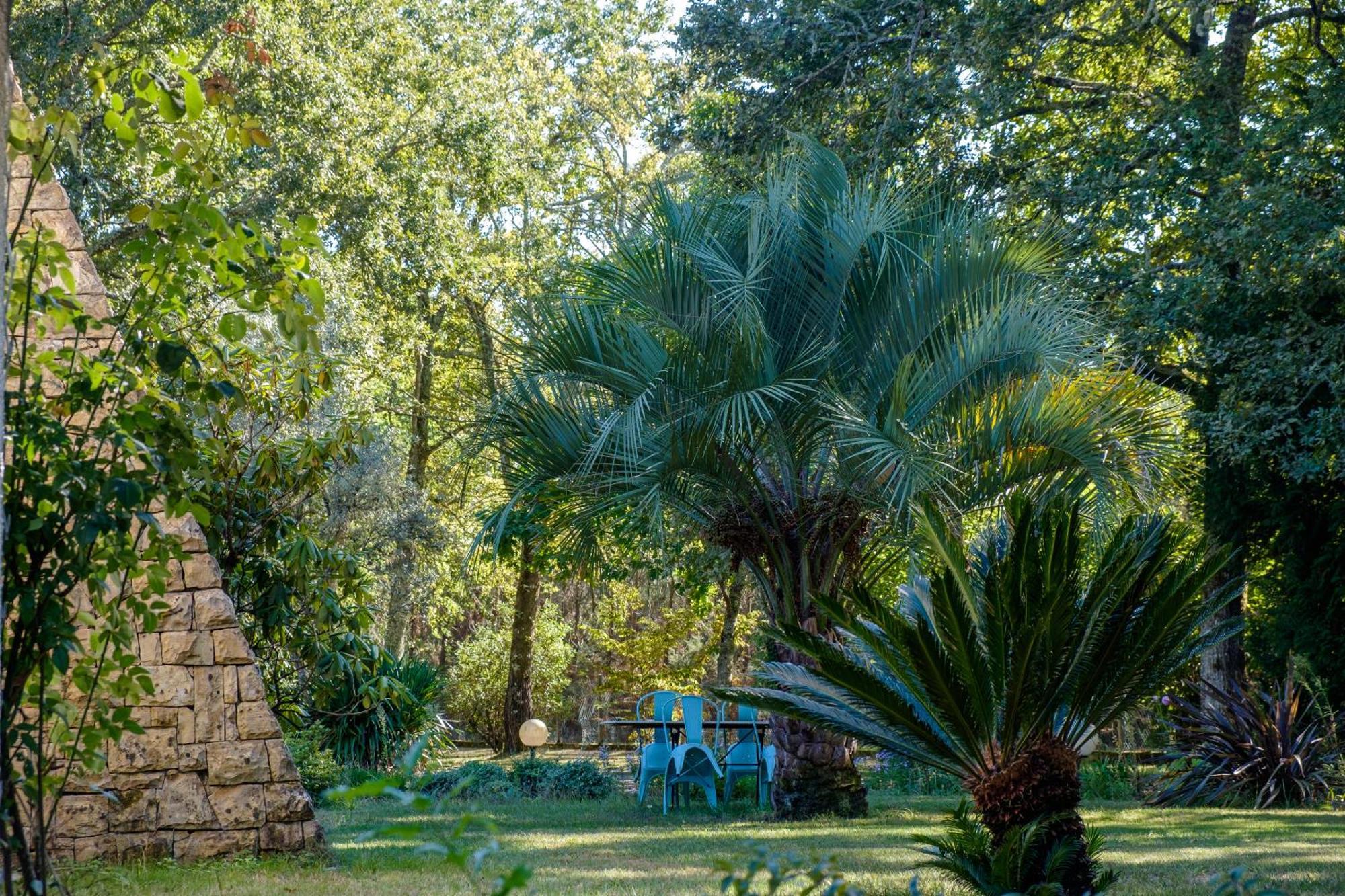 Bed and Breakfast Parc De L'Aiguade Saint-Paul-lès-Dax Esterno foto