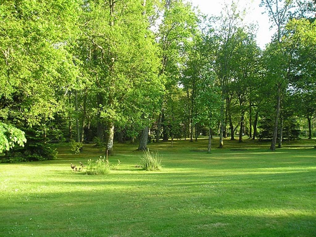 Bed and Breakfast Parc De L'Aiguade Saint-Paul-lès-Dax Camera foto